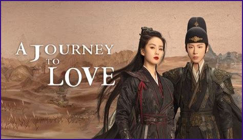 A Journey Of Love, Support, And Creative Endeavors