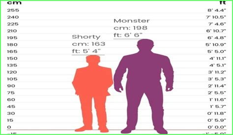 Discover The Height Of Vic Mensa